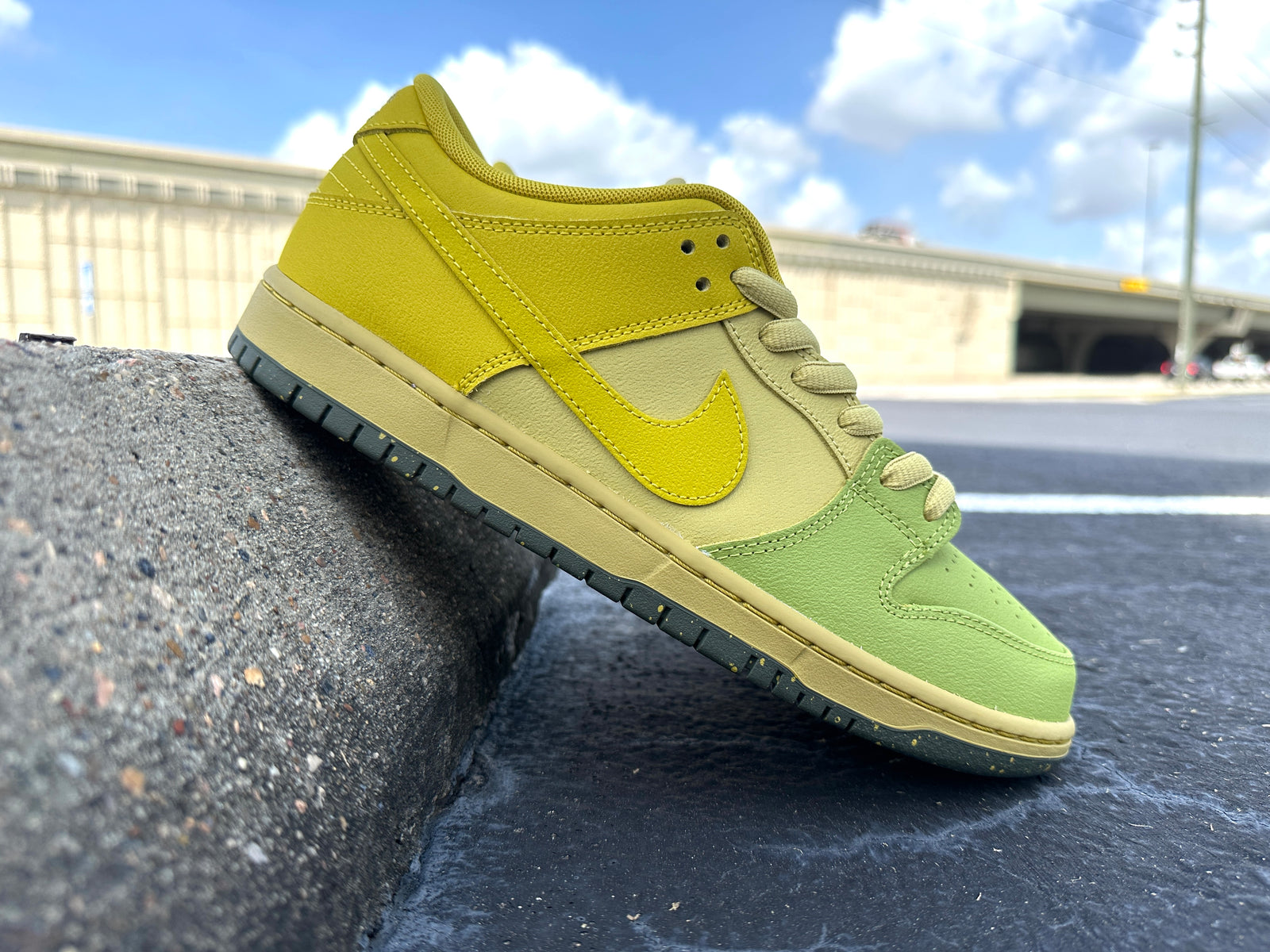 NIKE SB DUNK LOW HATCH CHILE
